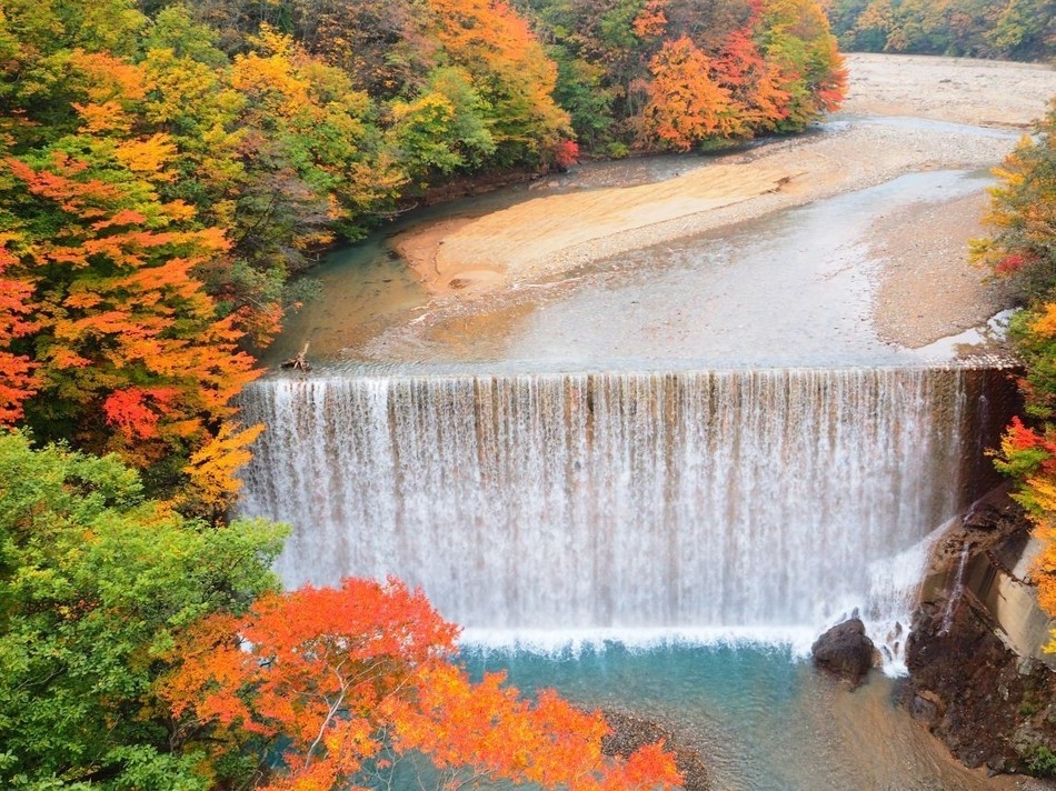 【紅葉スポット】錦秋の志賀高原と湯田中温泉旅！食べ放題、飲み放題のバイキングプラン！