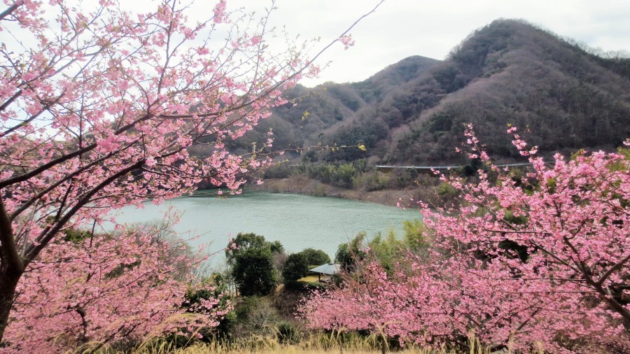 伊豆高原　海の見えるオーベルジュ　パルテール - 写真 184