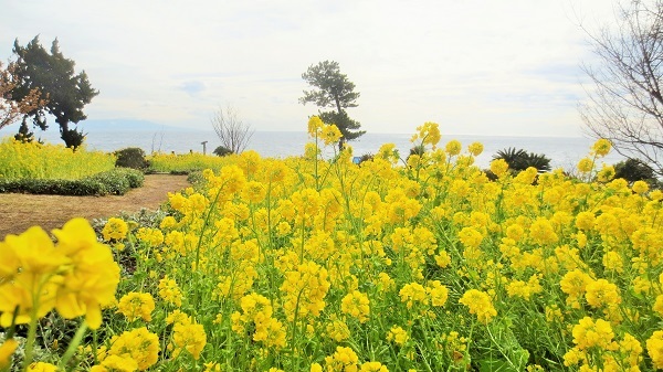 伊豆高原　海の見えるオーベルジュ　パルテール - 写真 183