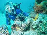 伊豆高原　海の見えるオーベルジュ　パルテール - 写真 205