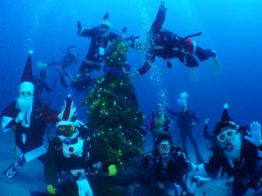 伊豆高原　海の見えるオーベルジュ　パルテール - 写真 207
