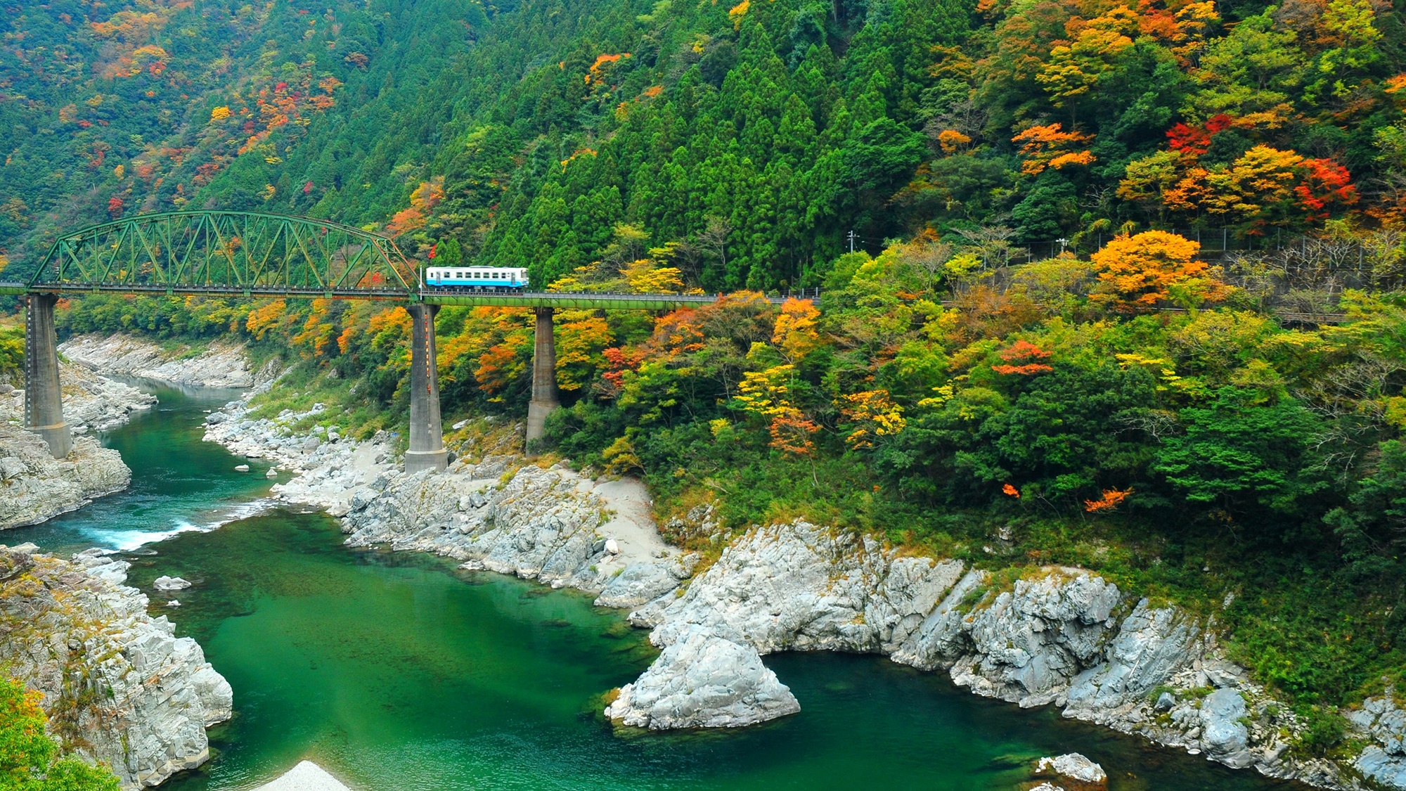 *【周辺観光】大歩危・秋　-　提供：徳島県観光協会