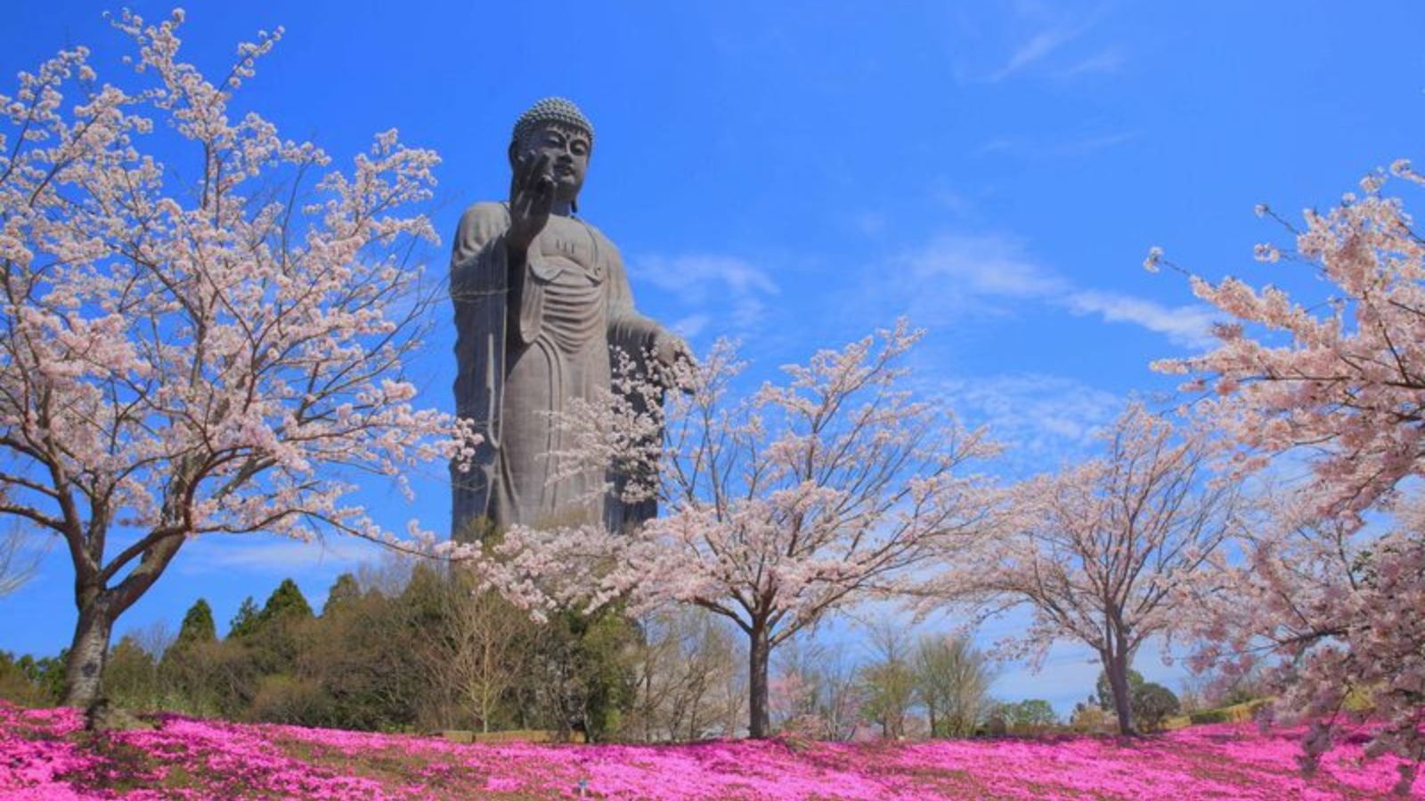 牛久大仏　春