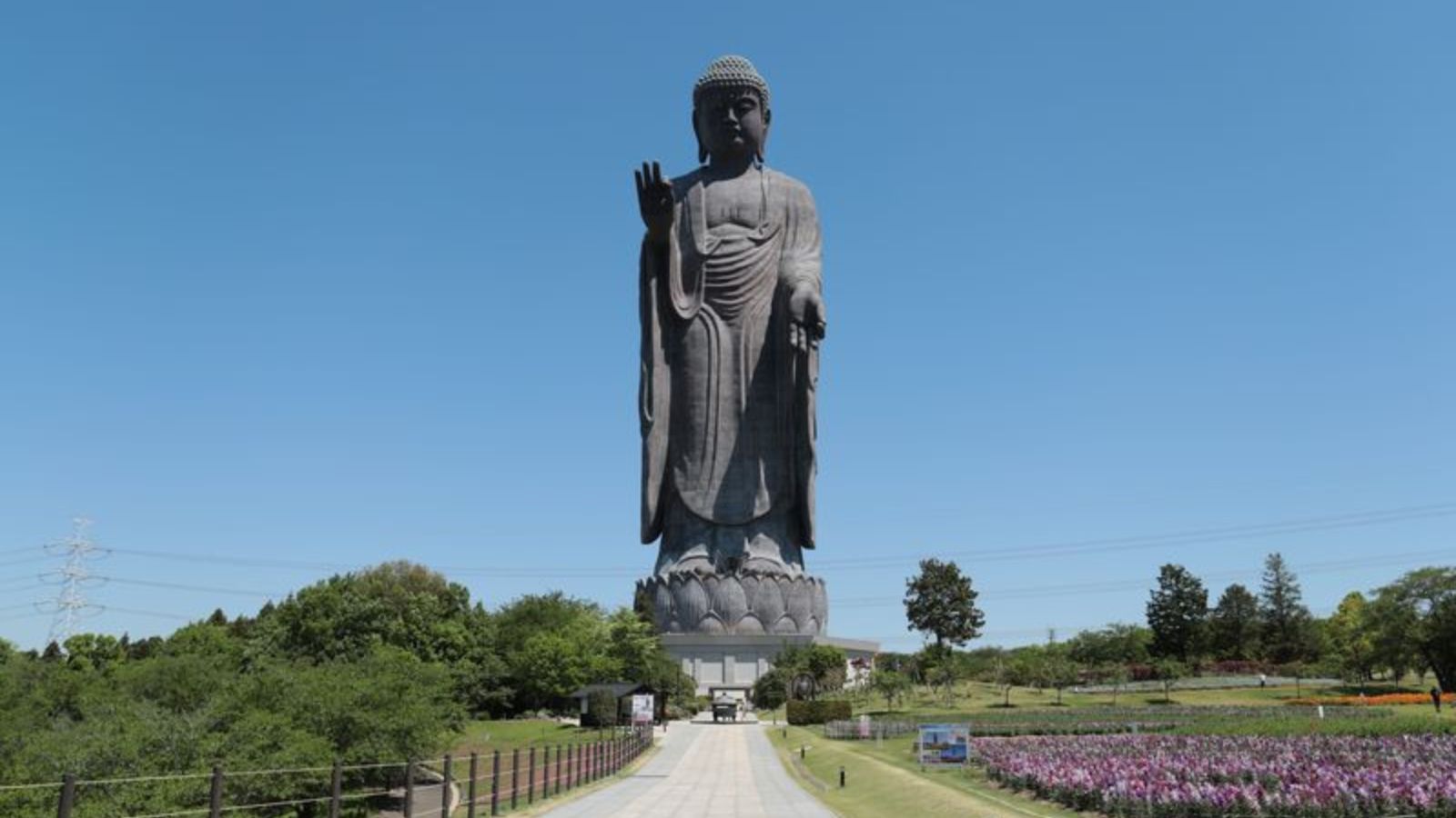 牛久大仏
