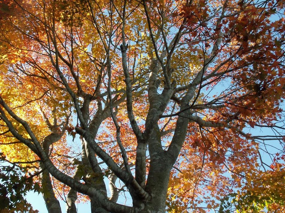 【カップル・ご夫婦】ワイン大好き！お肉大好き！スィーツ大好き！お風呂も貸切！素敵な夜に乾杯！