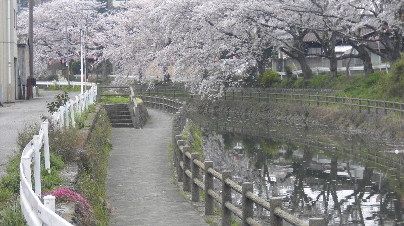 旅館の中で１番古く感じる部屋となります。ですが天井も高く明るく広いです。連泊の場合、割引は会計時！