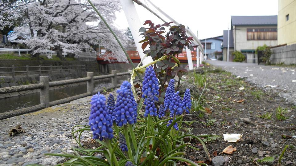 ■泊数割引計算済■3連泊、お部屋はおまかせ、寝具カバータオルバスタオル浴衣の取替は３日に１度です。