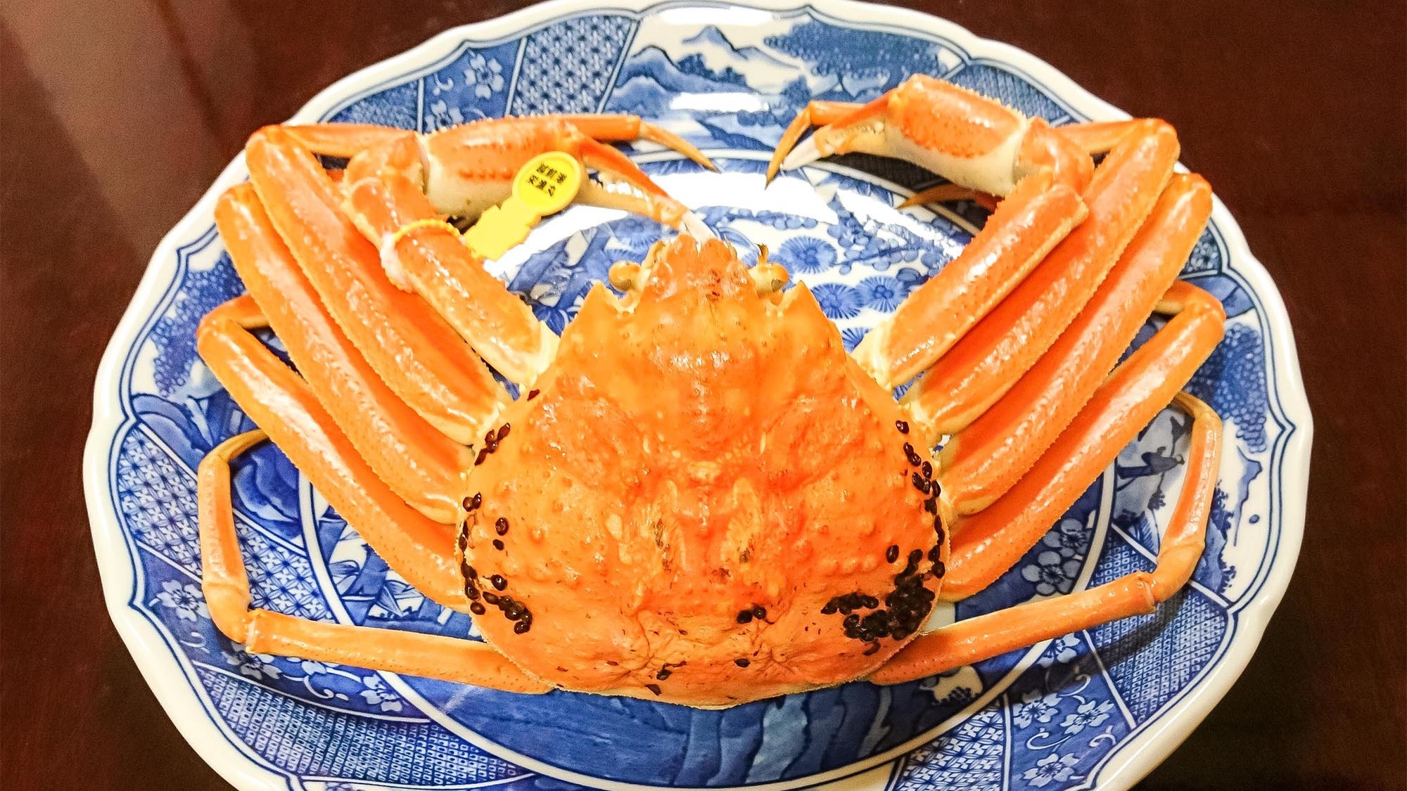 【2食付き】ズワイ蟹付き！海の幸と福井の味を楽しめる宿泊プラン