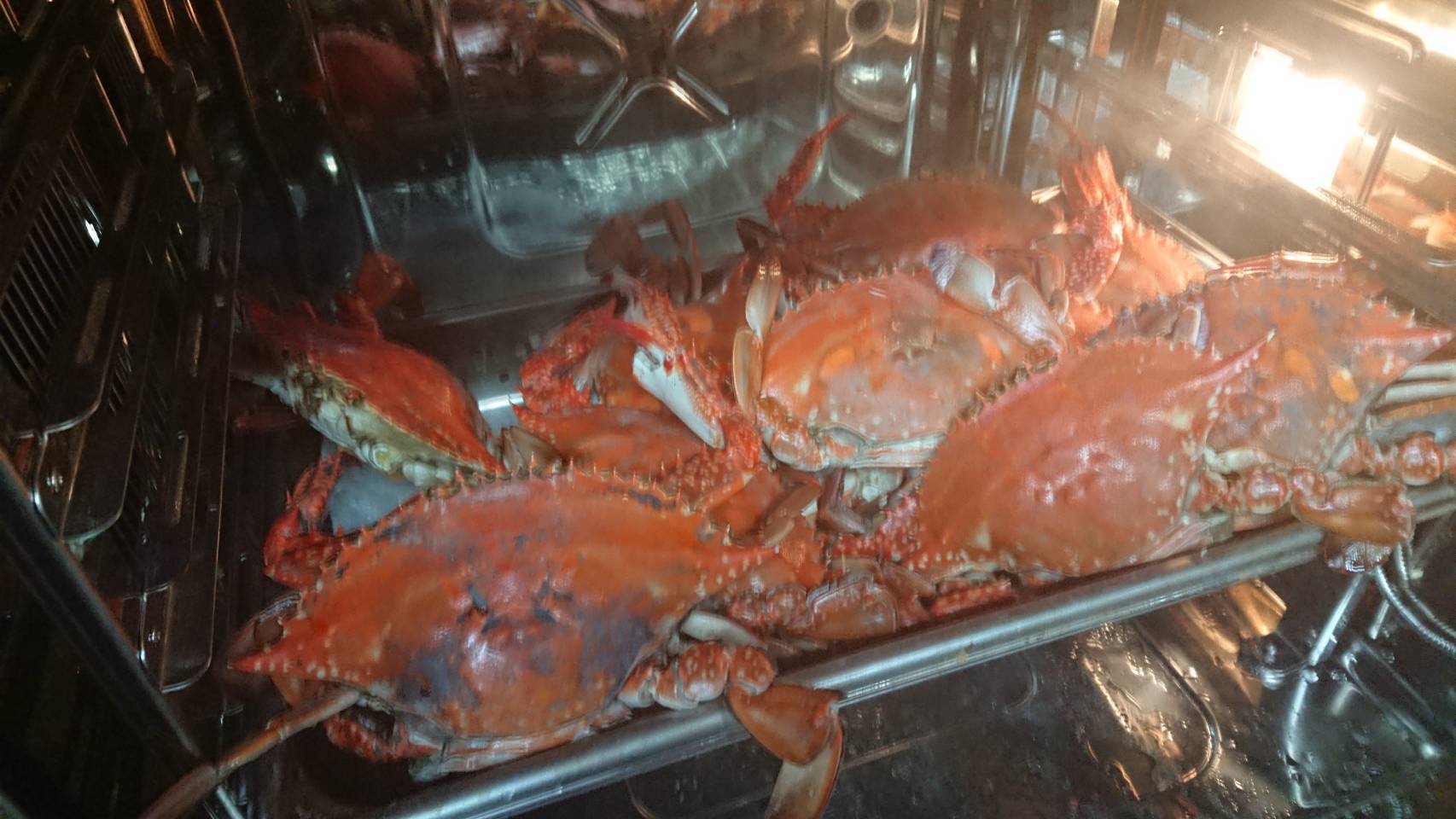 海の御馳走ぷらん☆　蒸し蟹と夏は伊勢海老・冬は天然虎河豚てっさ