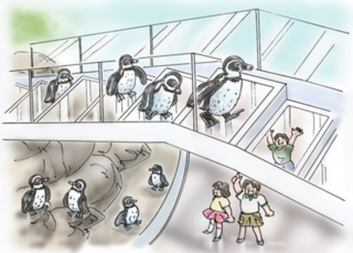 仙台うみの杜水族館　ペンギン