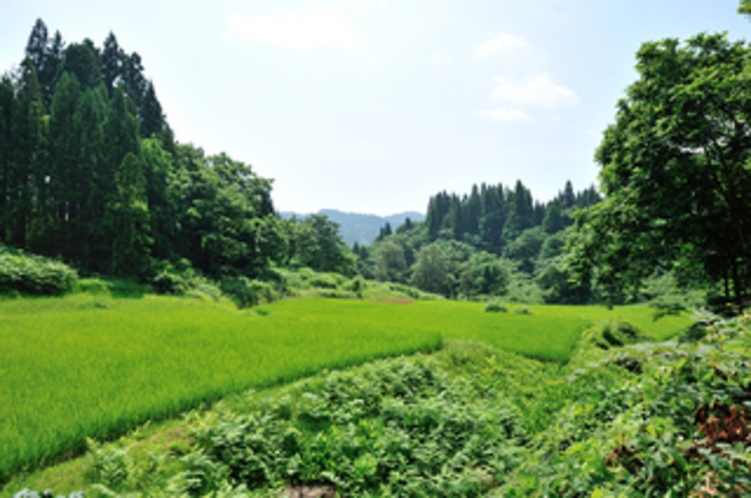 美人林近く『光間集落』にある田んぼ