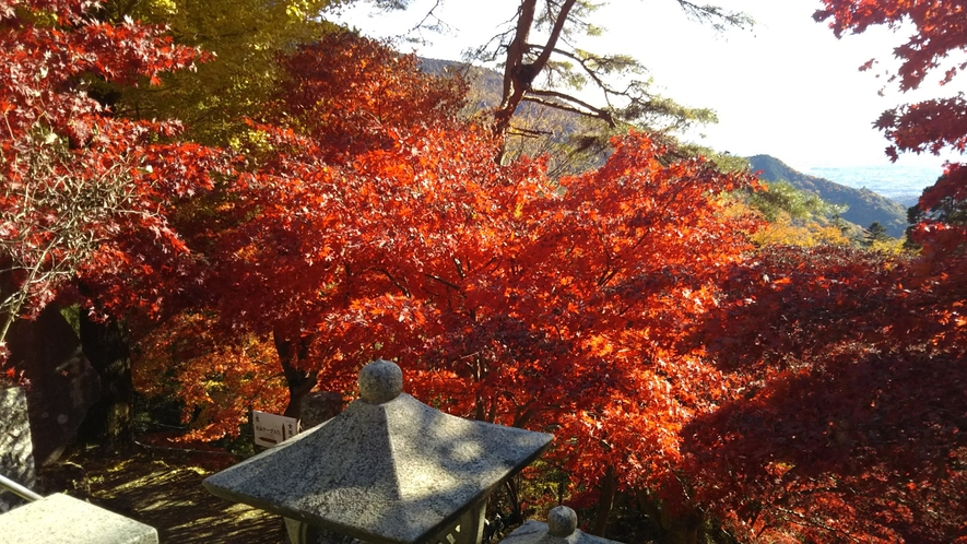 秋の深まりを感じる「大山寺紅葉 」
