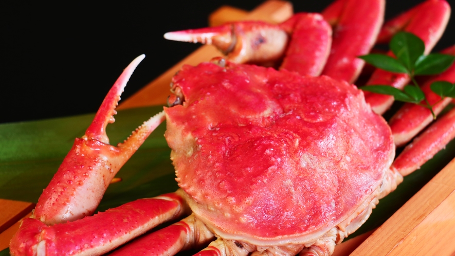 【カニ料理】京丹後の冬の旬の味覚の王様『蟹』（※画像はイメージです）