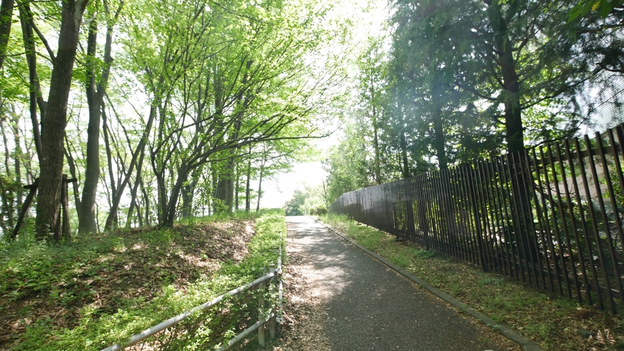 施設周辺　遊歩道