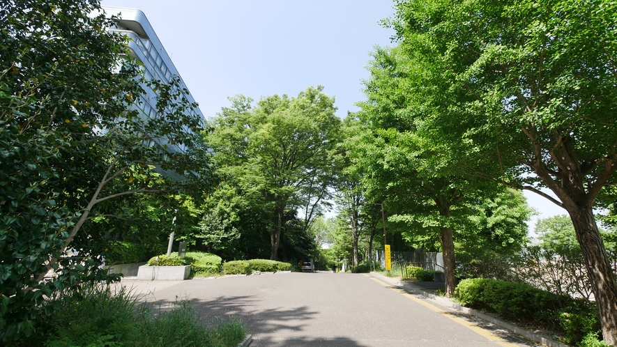 施設周辺の歩道