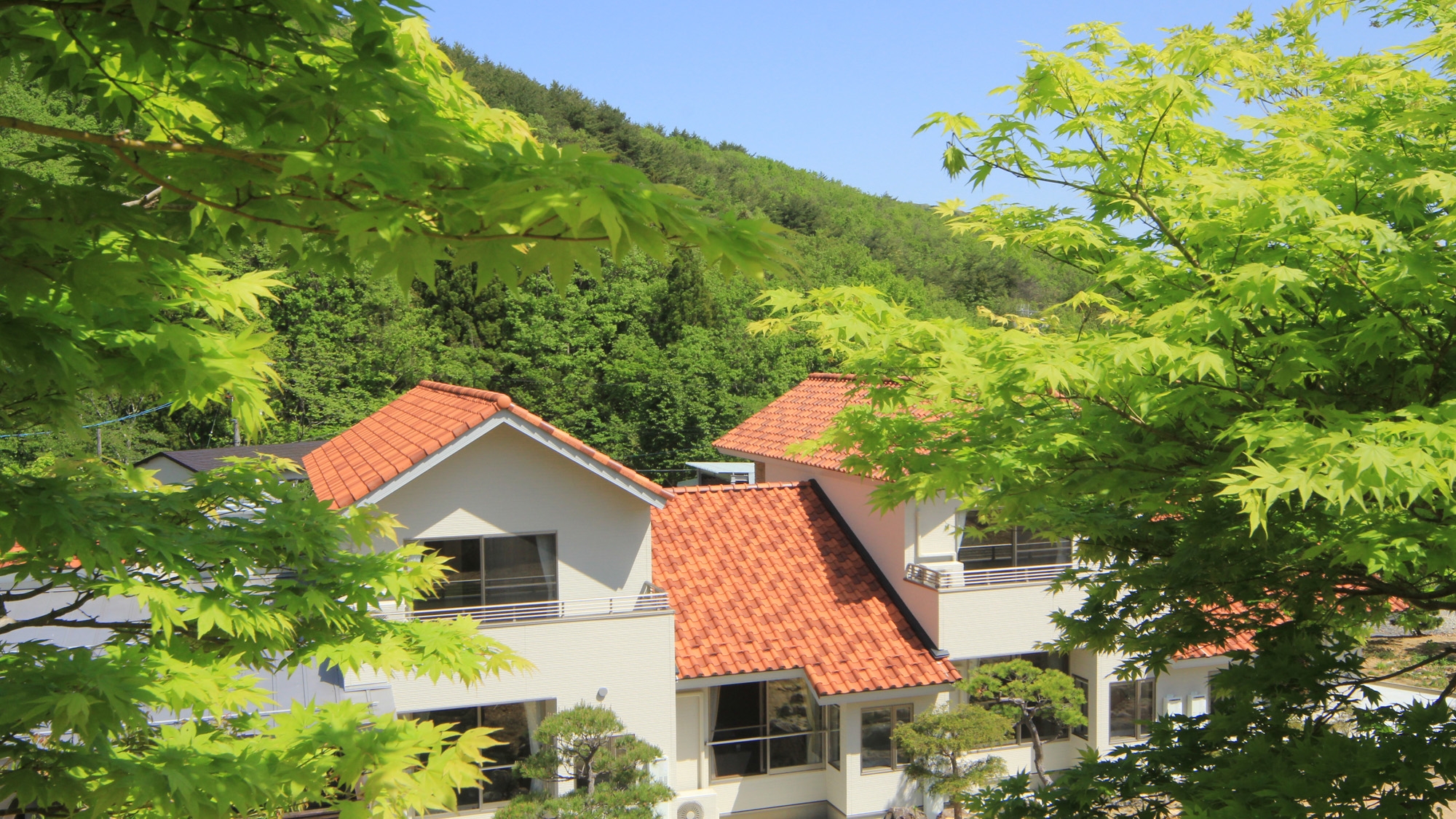 ｆｏｒｅｓｔ　バン　源田