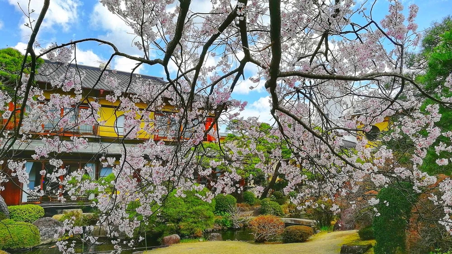 ・春の意は桜を見ることができるスポットも