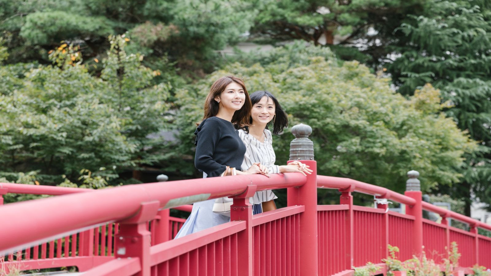 【周辺・景観｜温泉街】