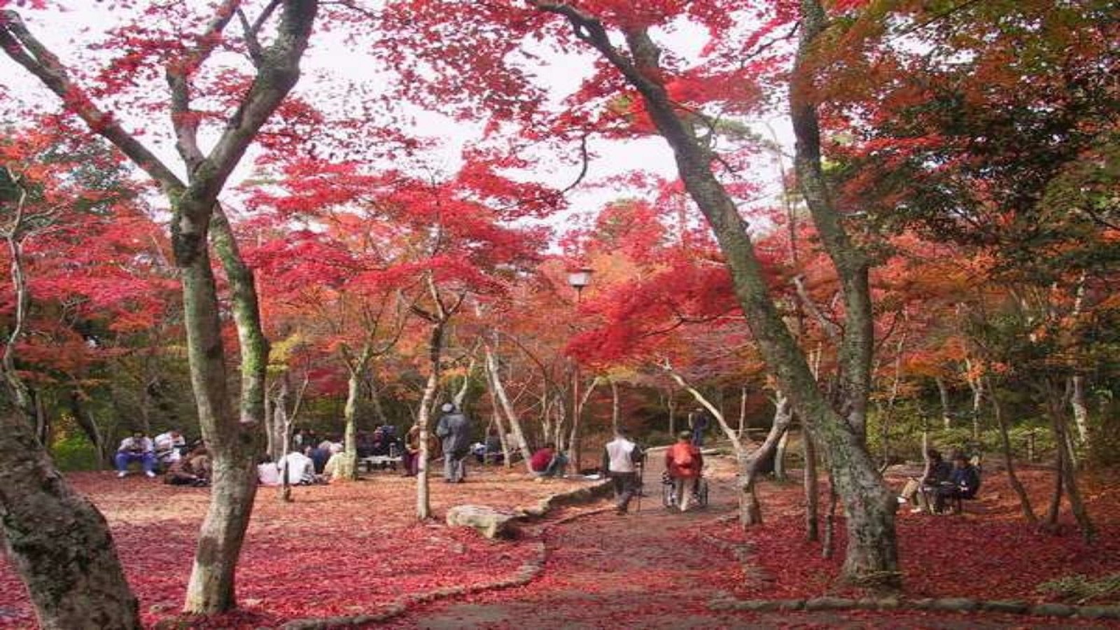 【周辺・景観】