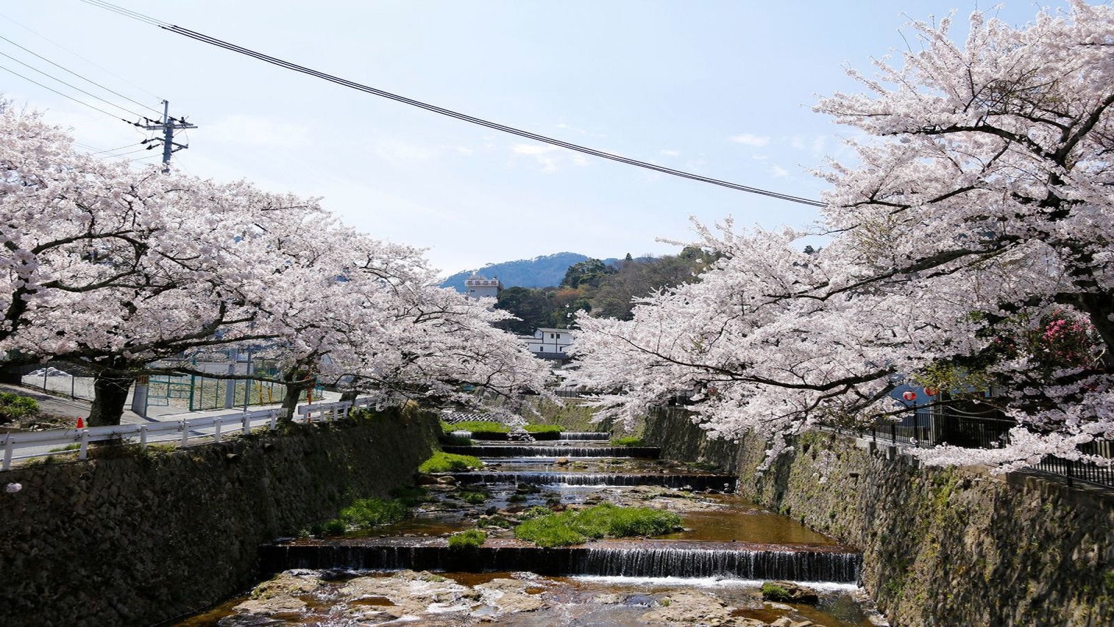 【周辺・景観】