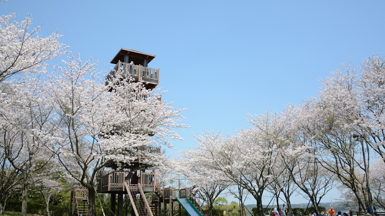 城山公園（一宇治城跡）