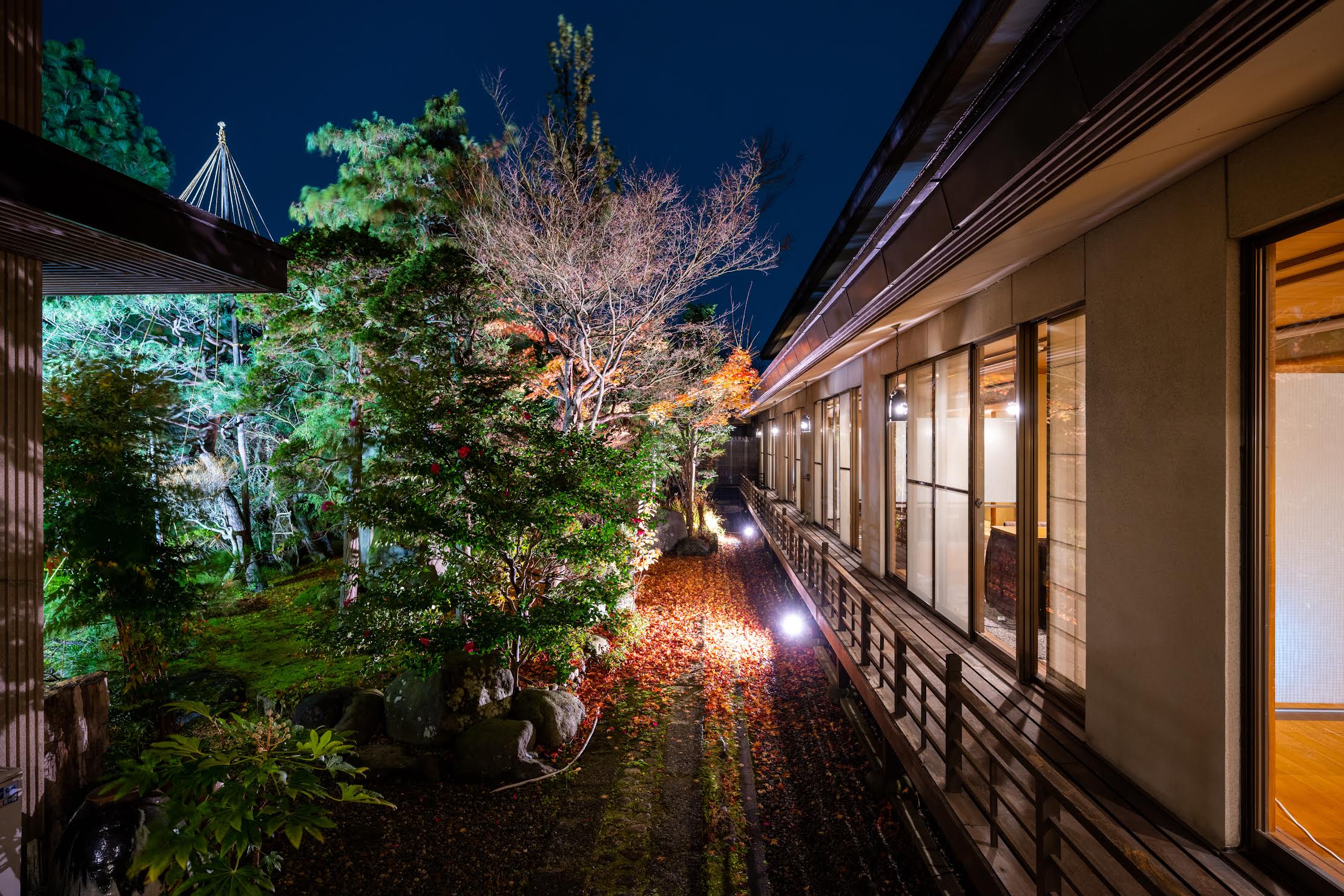 中庭の夜景