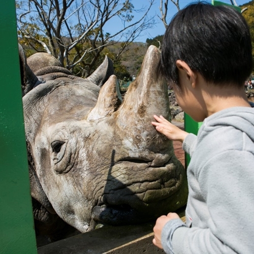 【伊豆アニマルキングダムを愉しむ】アニキン入園券付＆レイトチェックアウトで伊豆稲取滞在満喫プラン♪