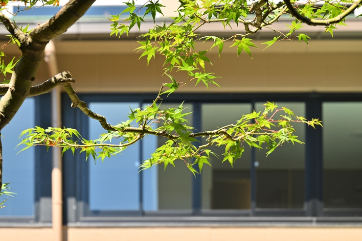 【はまづる定番会席】能登の海の幸を味わうお刺身皿盛り！＜22時まで飲み放題サービス付き＞