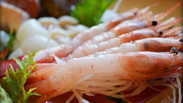 【名物”舟盛り”会席】能登の鮮魚を豪快に＜22時までビール＆ソフトドリンク飲み放題サービス付き＞