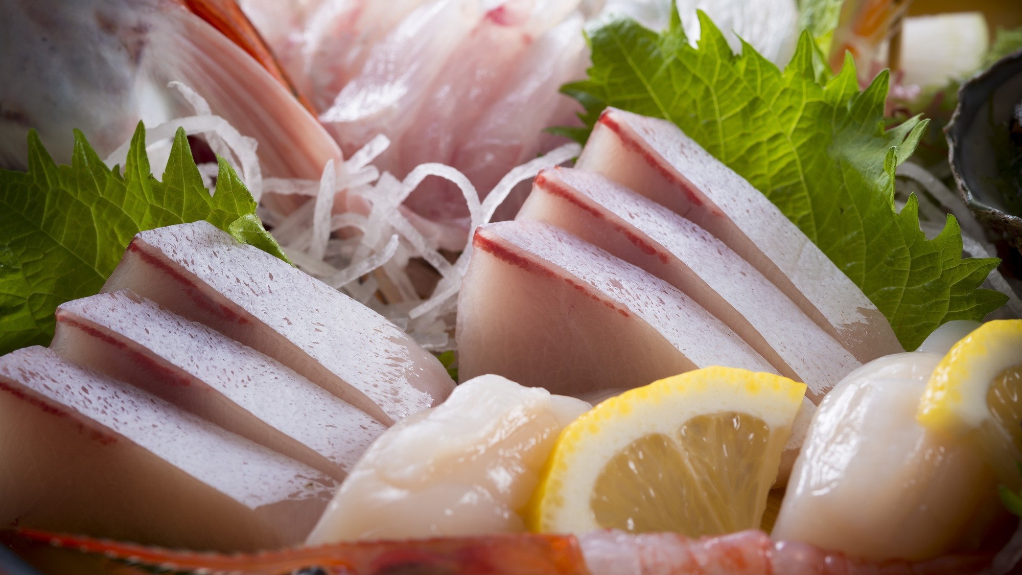 【はまづる特選舟盛り】贅沢食材の伊勢海老・さざえ・鮑等々！！館主魚おじさん本気の”金の舟盛り”！！