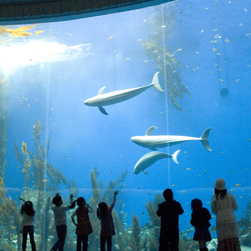 能登島水族館