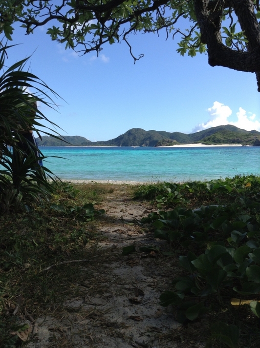 民宿やどかり 座間味島 宿泊予約 楽天トラベル