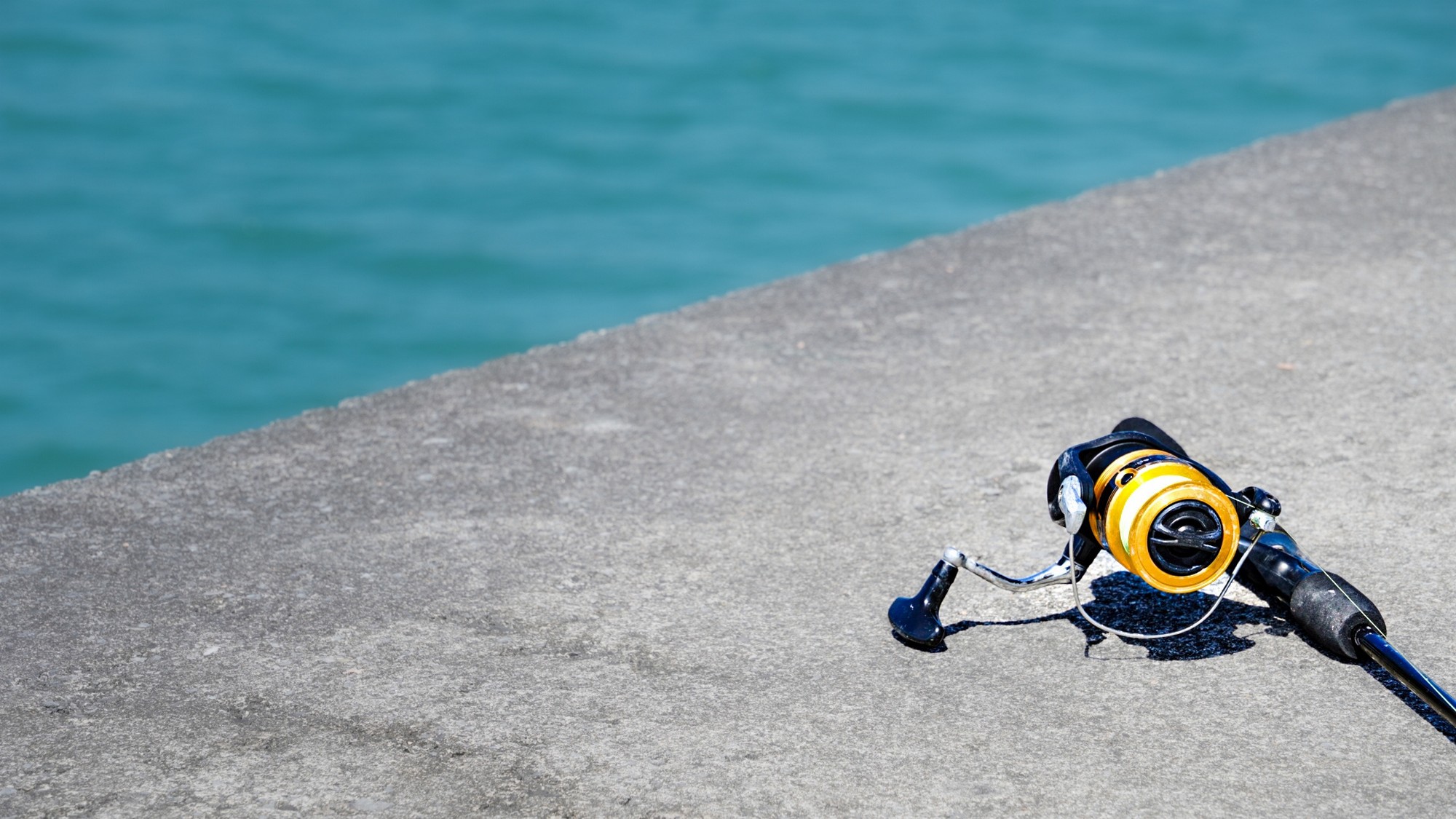 ☆女川で釣り体験！釣りセット貸出付プラン