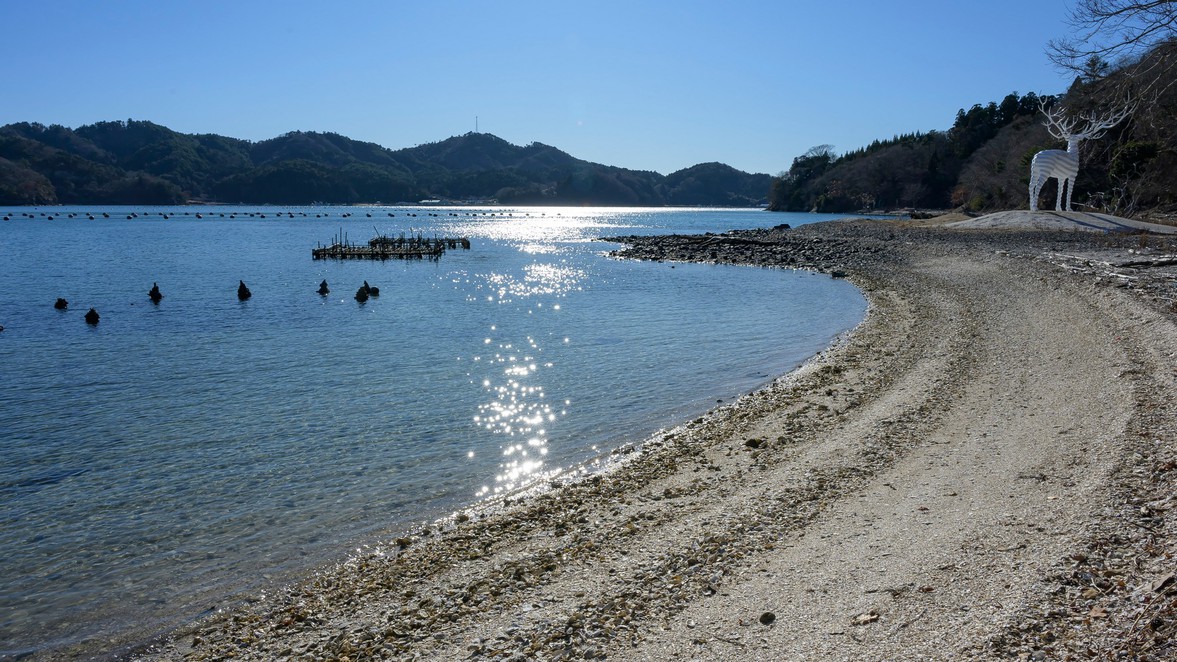 ☆キラキラと輝く女川の海。船に乗っての島めぐりやダイビング、釣りなどもおすすめ。