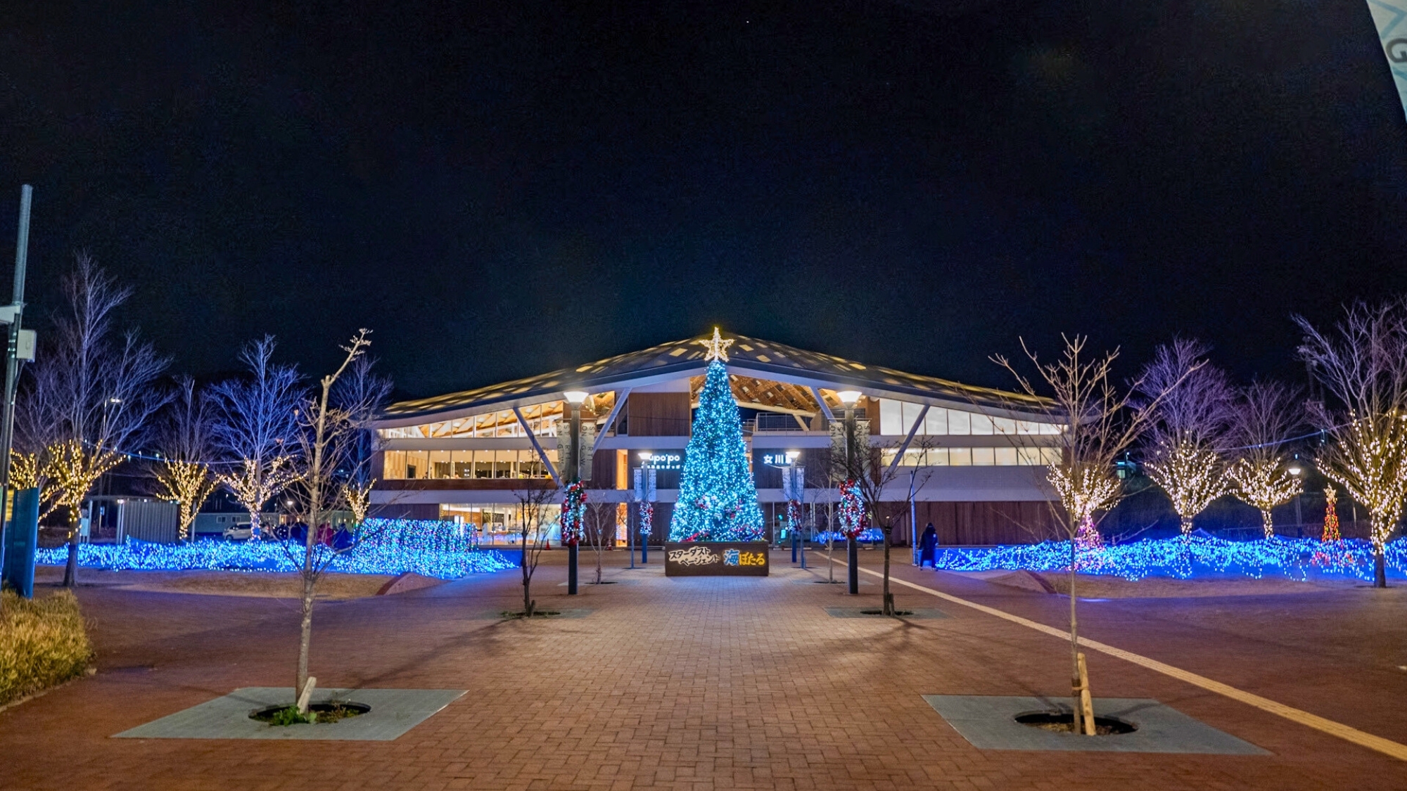 女川駅周辺がロマンチックな光景に。女川冬の風物詩、イルミネーション。