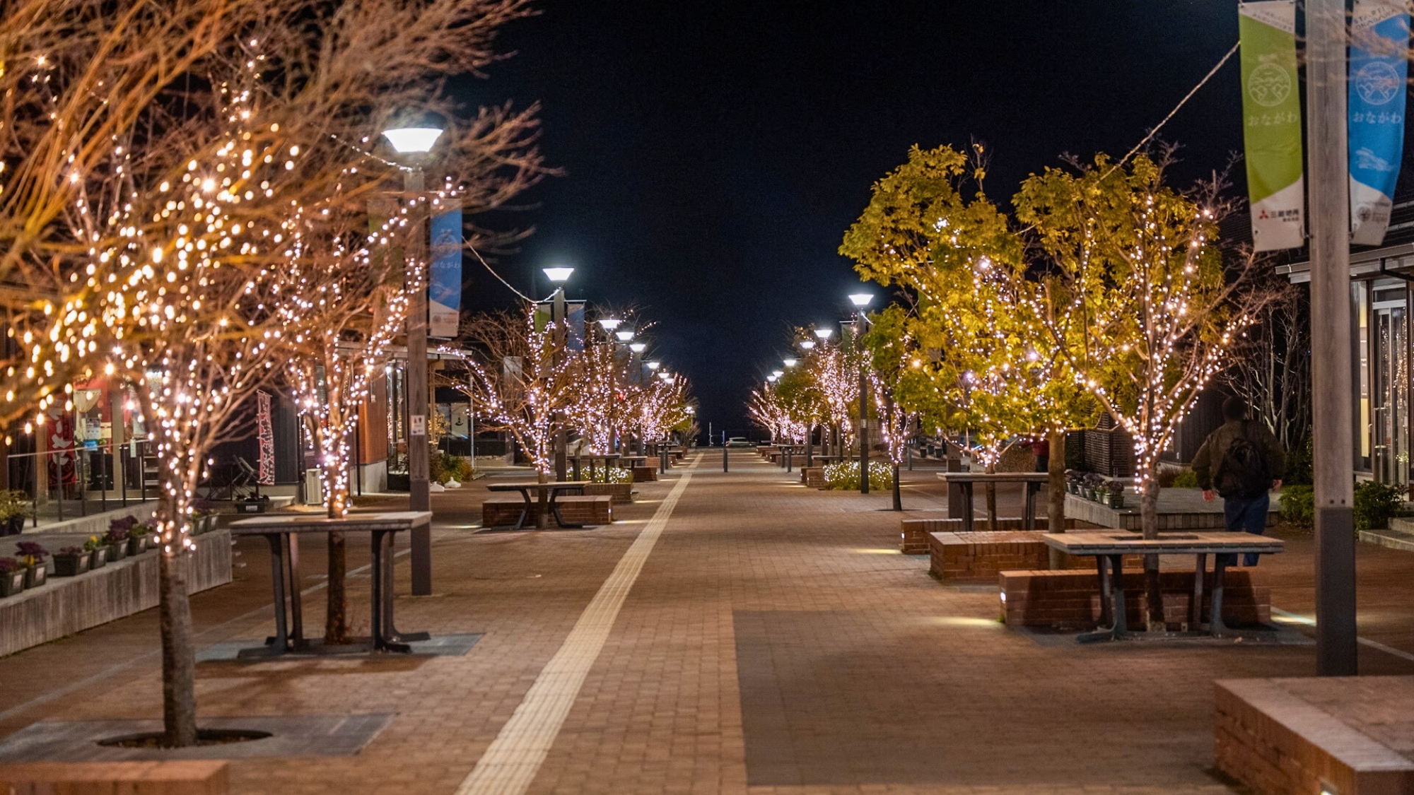 きらきら煌めくレンガみちの街路樹。光に包まれて幻想的な世界に。