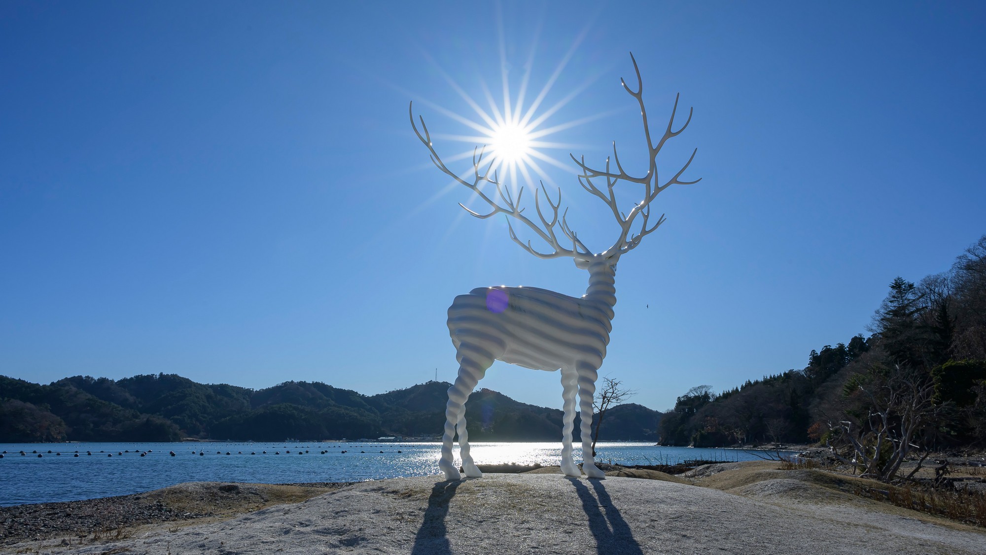 ☆石巻の雄鹿半島エリアにあるパブリックアート【White Deer(Oshika)】
