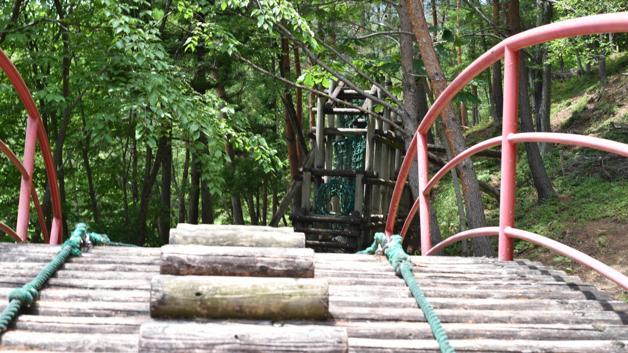 宮城県最恐と名高い「女川町フィールドアスレチック場」はお車5分！