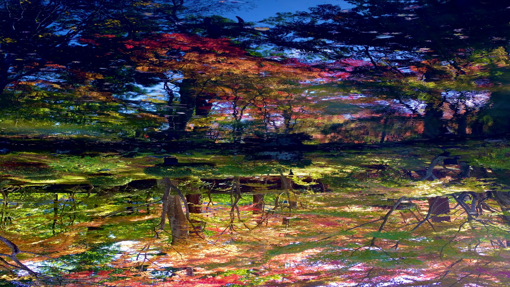 ☆【円通院】赤や黄色に染まった紅葉がライトアップされ、幻想的な雰囲気に。