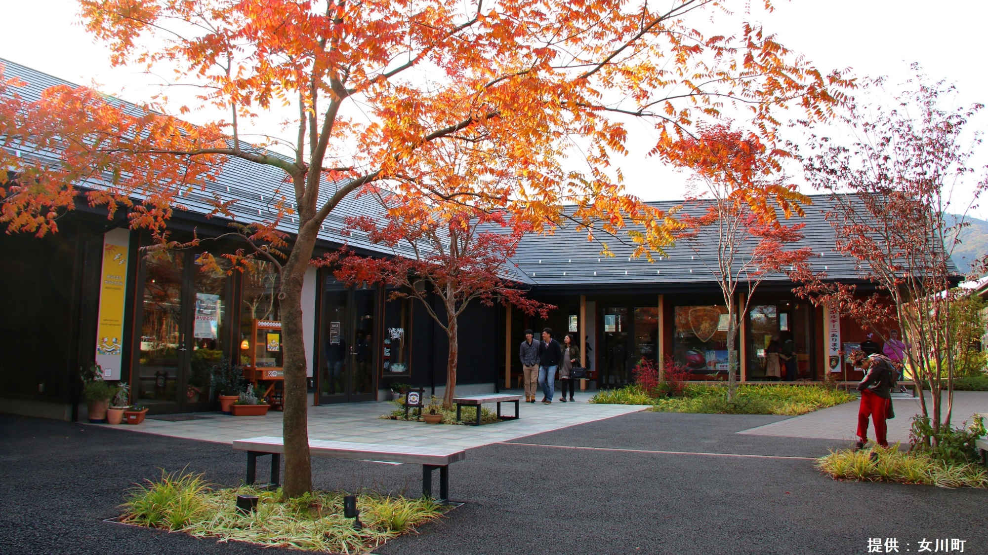 【シーパルピア女川】中庭の木々も秋の装いに。