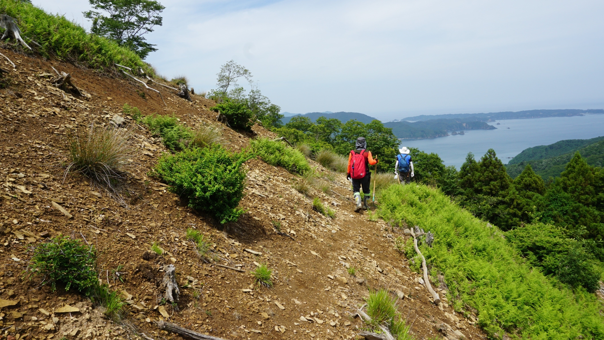 みちのく潮風トレイル【女川町ルート】女川の豊かな自然を思いっきり満喫できるコースです。