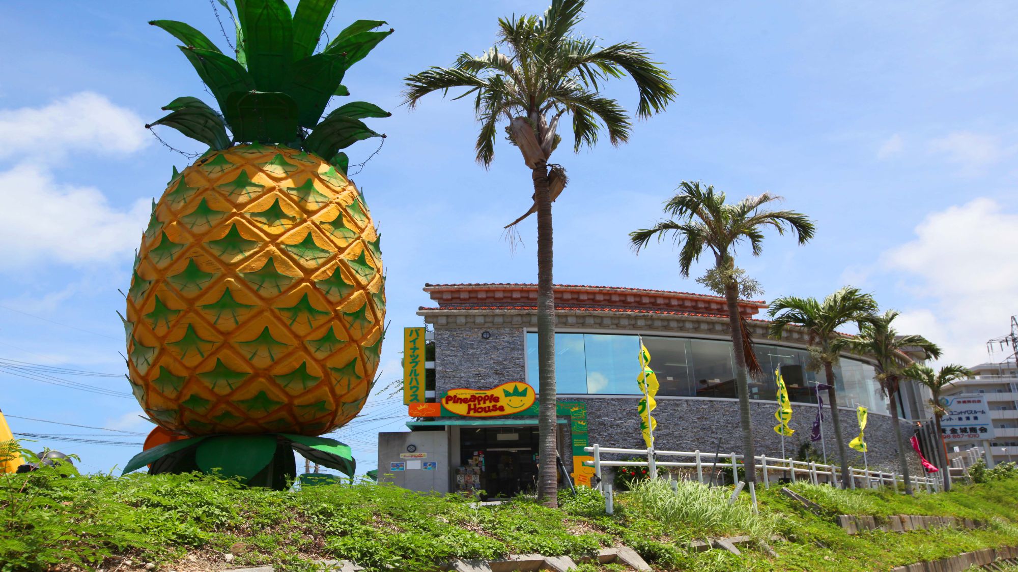 【ナゴパイナップルパーク】当館から車で約21分