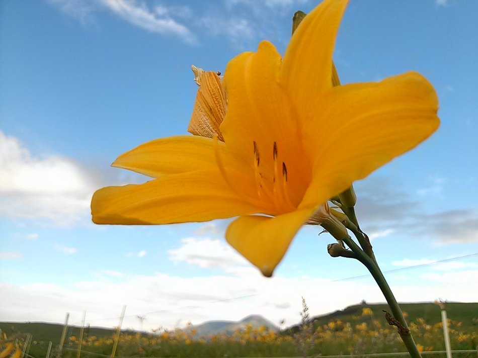 ☆空室あり！☆　手軽に！お得に！車山！　パオパオの素泊まりプラン