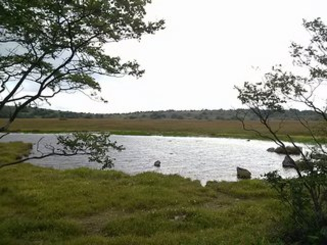 八島湿原