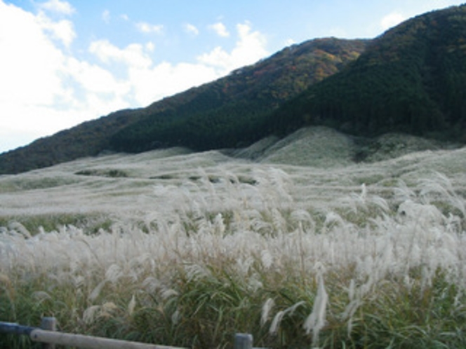 車山湿原