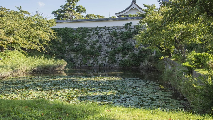 【福岡城跡】日本百名城のひとつ。国の史跡として指定されています。当館より車で15分。