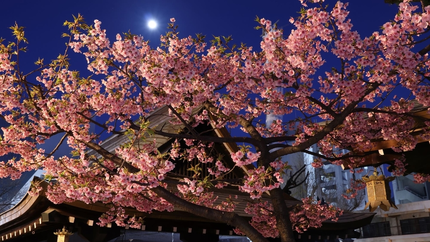【櫛田神社】博多祇園山笠が奉納される神社。当館より徒歩10分。