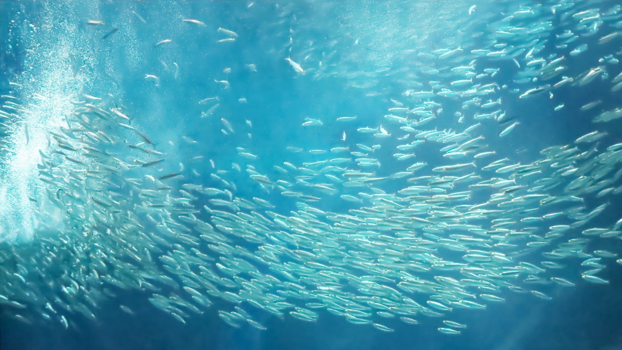 【マリンワールド海の中道】九州の海をテーマにした大人も楽しめる水族館。当館より車で30分。