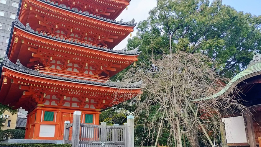 【東長寺】弘法大師創建の日本最古の密教寺院。当館より徒歩15分。