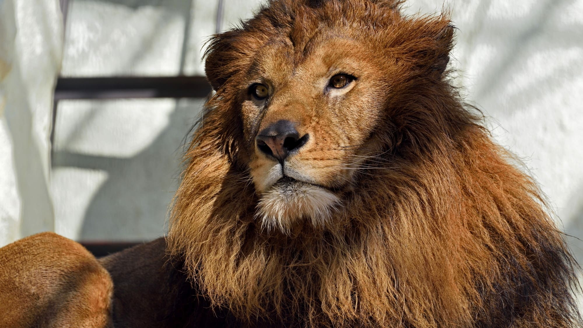 【福岡市動植物園】約100種の動物と約2600種の植物をお楽しみいただけます。当館より車で20分。